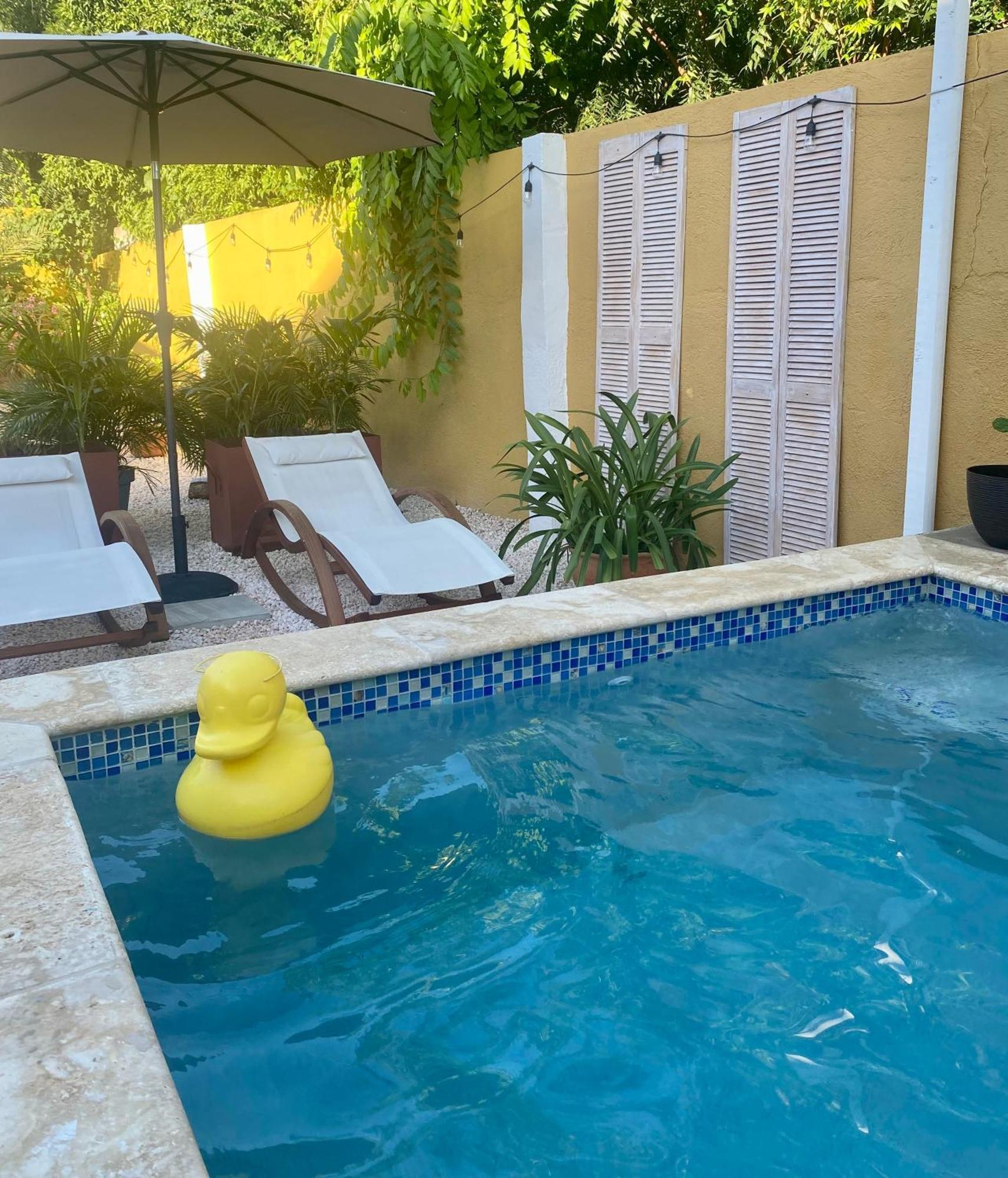 Historic Building The Palm Backyard Studio-Apartment Willemstad, Curacao Feel Home Away From Home ภายนอก รูปภาพ